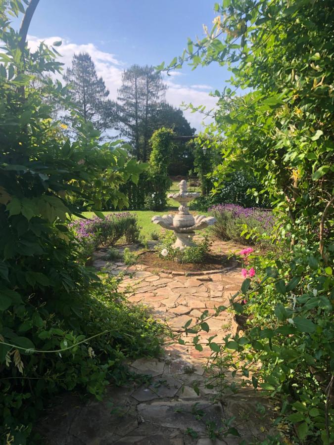 Apple And Rose Bed & Breakfast Belfast Eksteriør bilde